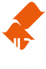 logo1